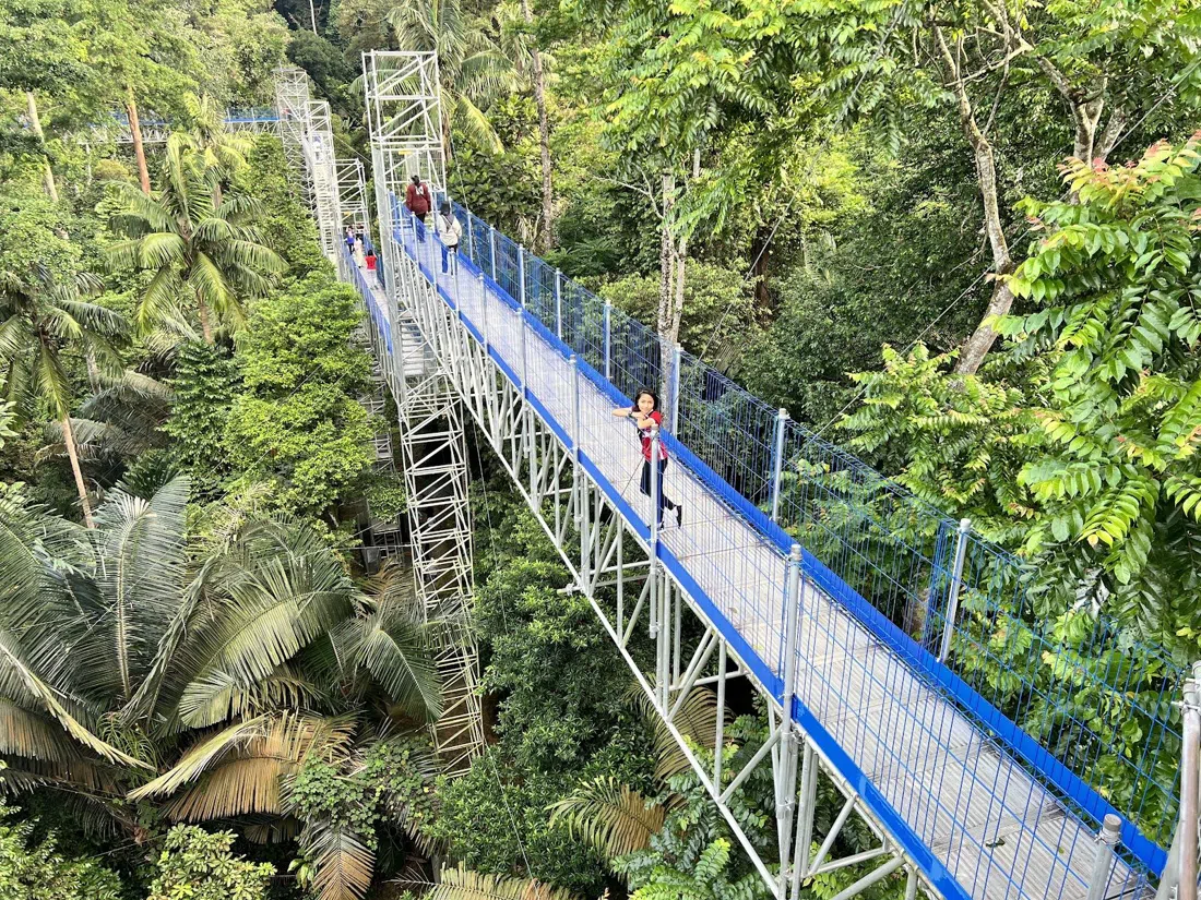 FRIM Forest SkyWalk (Kepong), Kuala Lumpur