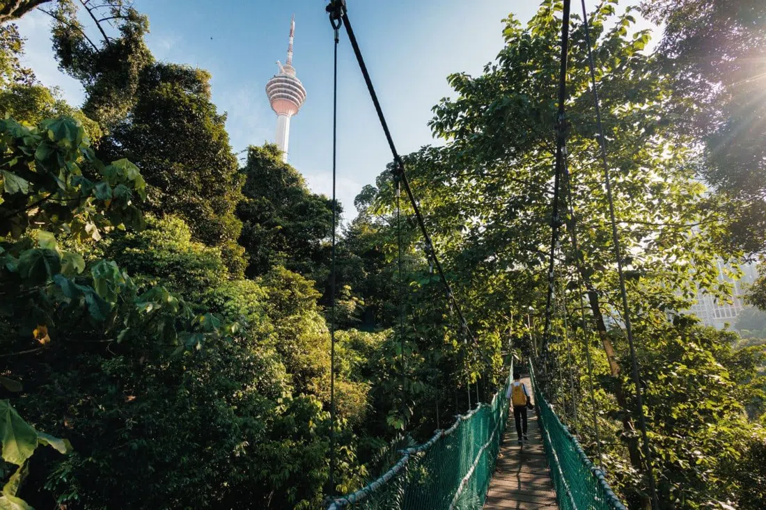 KL Forest Eco Park (Bukit Nanas Forest Reserve), Kuala Lumpur