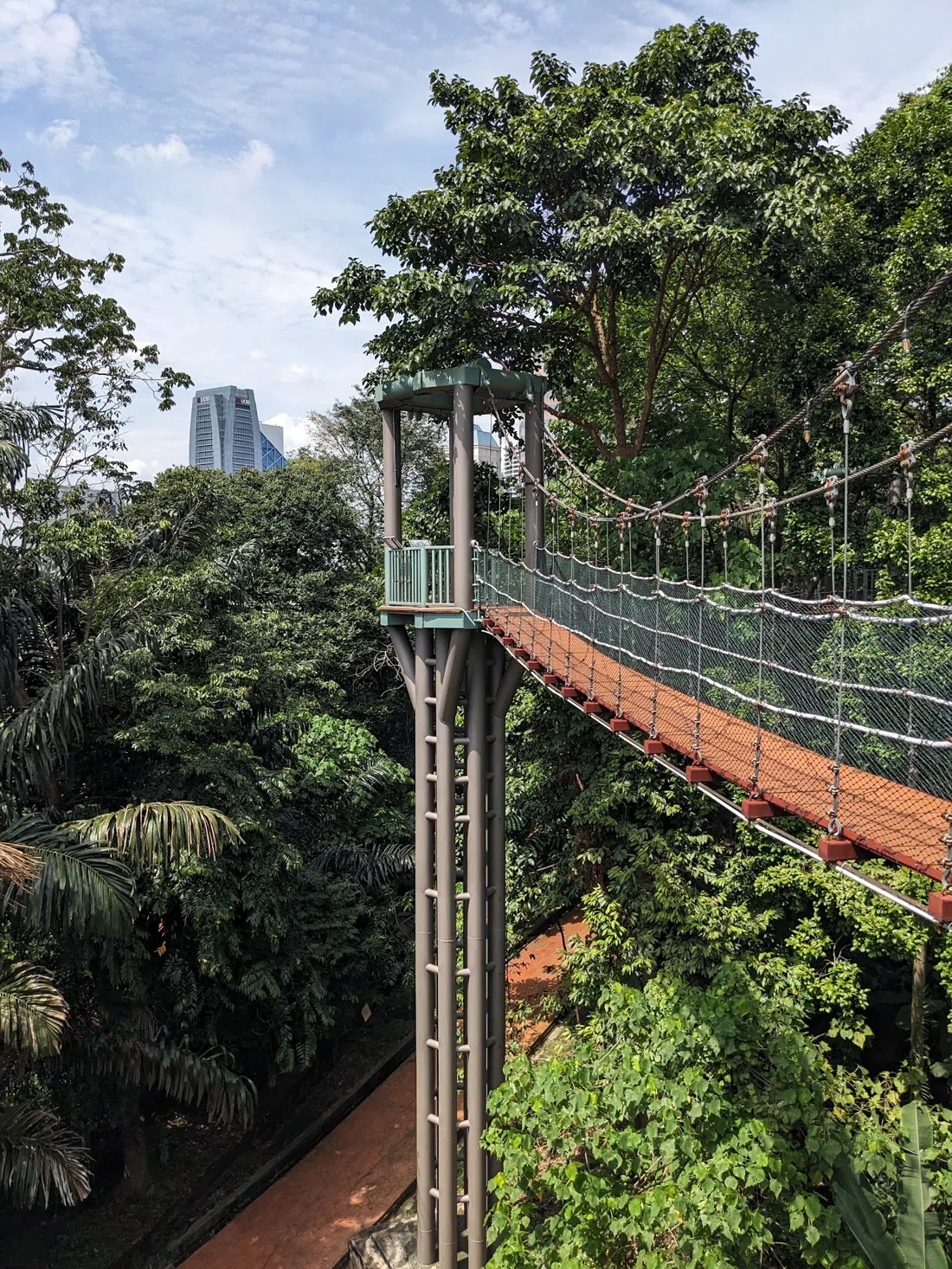 KL Forest Eco Park (Bukit Nanas Forest Reserve), Kuala Lumpur