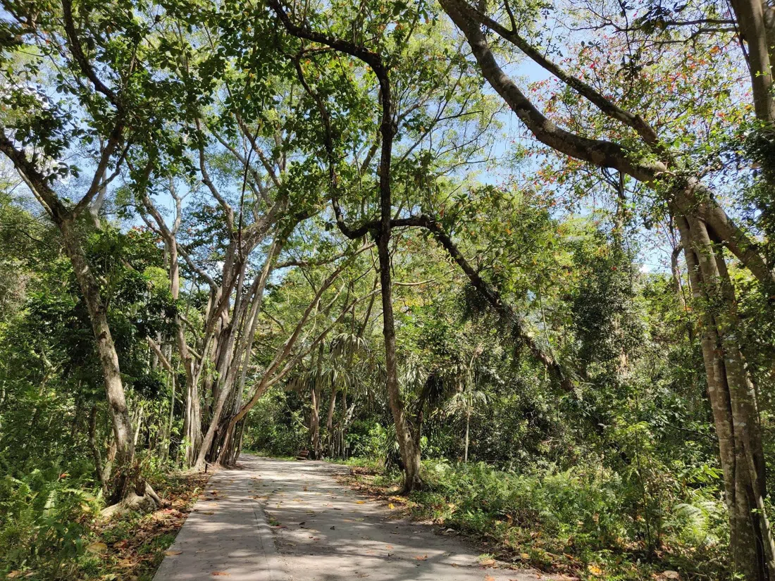 Kuala Selangor Nature Park (Taman Alam), Kuala Lumpur